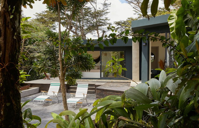 SELVA by DW - Photo 49