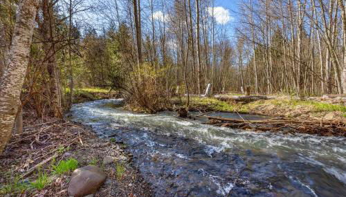 Neal Creek Retreat home - Foto 5