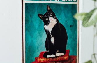 Hemingway KeyWest Vibes-mid term 2BR/1ba | St Pete - Foto 40