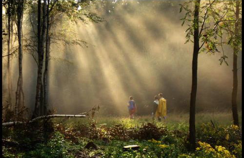 'chata usÓwek' - Foto 19