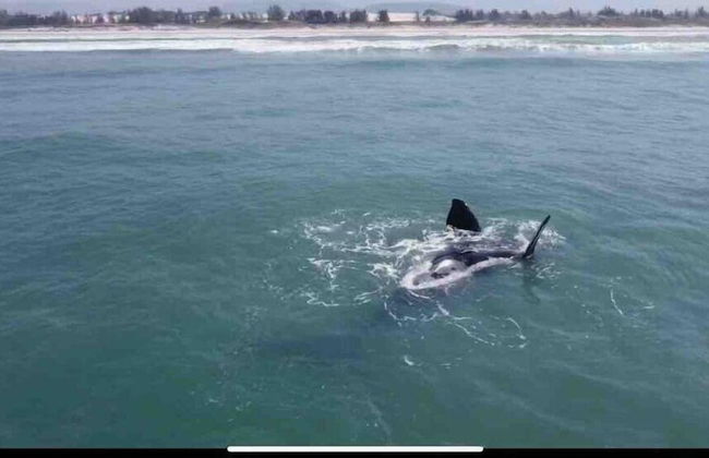 Villa Bali - Photo 43