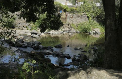 La Demoiselle de Bohardy - Photo 25