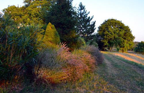 Golden Valley apartment & ranch - Foto 66