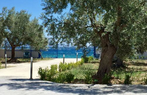 Amalfi Complex - Foto 50