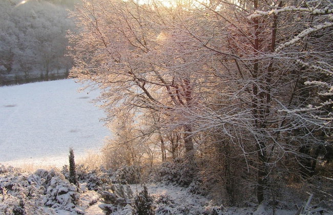 Cozy Escape in Bohon - Photo 41