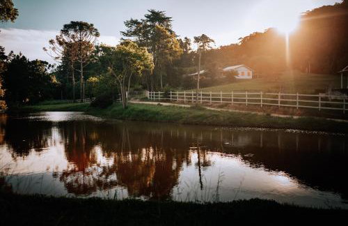 Sítio D Ouro - Foto 29