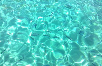 Villa Anna Maria - Foto 53