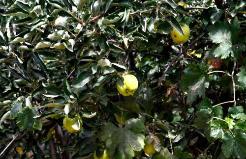 Cueva El Cortijo Gachas - Photo 89