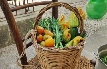 Masseria Cataldo - Foto 10