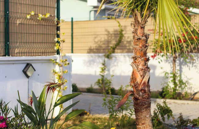 Talia Villaları - Foto 52