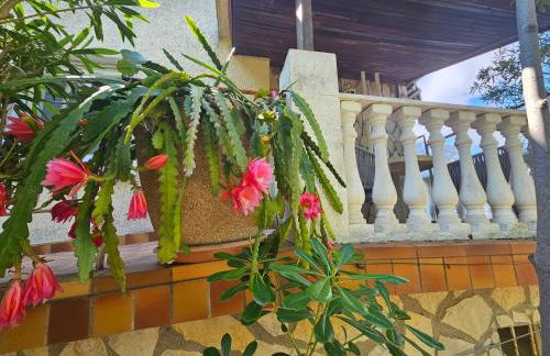 Villa des cèdres La Franqui - Foto 14