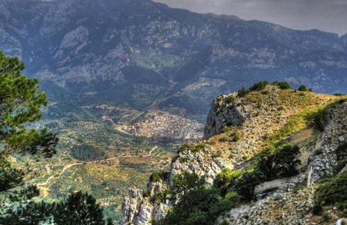 La Remulla - Foto 12