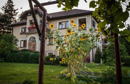 ZALASEK Gospodarstwo Agroturystyczne z Alpakami - Foto 4