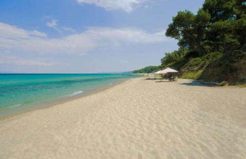 Vereniki 1 - Foto 38