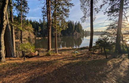 Sierra Cabin w NEW Hot Tub Walk to Town - Photo 36