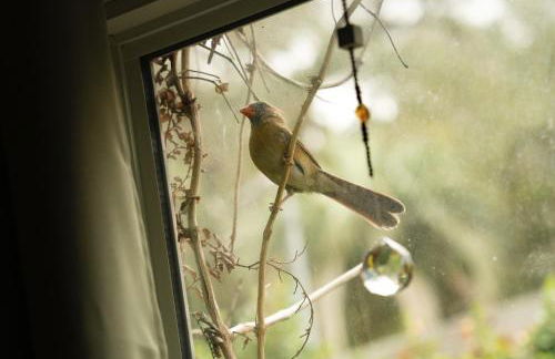 Creatives Retreat for Artists & Lovers - Foto 12