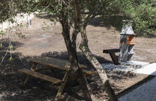 Finca Florida - Foto 28