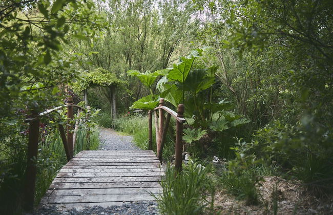 Mushroom Yurt set in 4 Acres of Woodland and Lakes - Foto 31