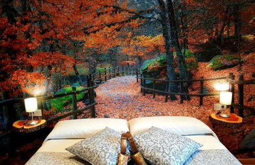 Casa Rural La Puerta Del Río Lobos - Foto 11