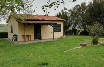 Agriturismo cavallin del papa - Foto 37