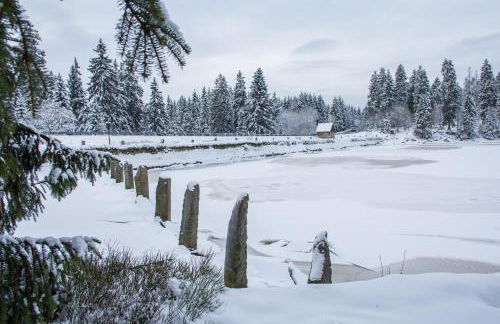 Haus am Oberen Eschenbacher Teich - Foto 34