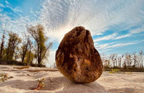 Ferienwohnung Bellissima - Foto 22