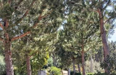 Casa Vale Nicolau - Foto 3