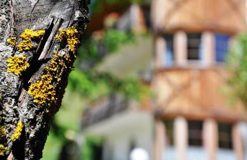 Guesthouse Rungg - Foto 53