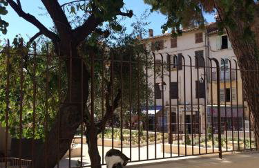 Palme d'hote - Photo 39