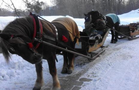 Pokoje u Pitera - Foto 20