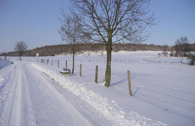 Large Detached Holiday Home in Hesse With Private Garden and Terrace - Foto 76