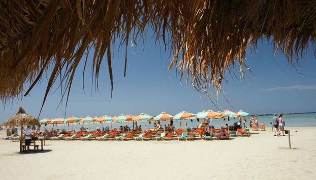 Escapade sur l'île d'Elafonisi - Tour d'une journée - Photo 5