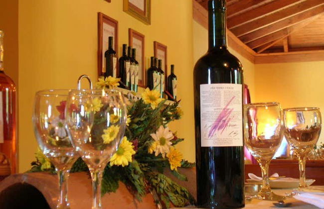 Tour de vinhedos e adegas pelo vale de Itata - Foto 6