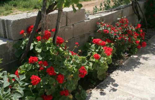 Apartments by the sea Trpanj, Peljesac - 4510 - Foto 6