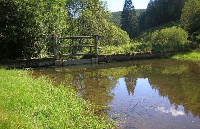 Ferienwohnung Marianne in Neuweiler - Foto 22
