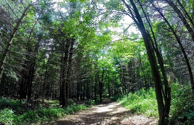 Camp Deep Creek - Foto 34