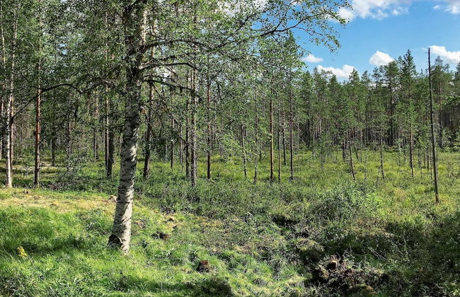 Vintage Forest Retreat-by Traum - Foto 17