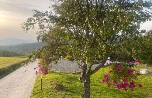 Apartamenty Emerald Hills - Foto 50