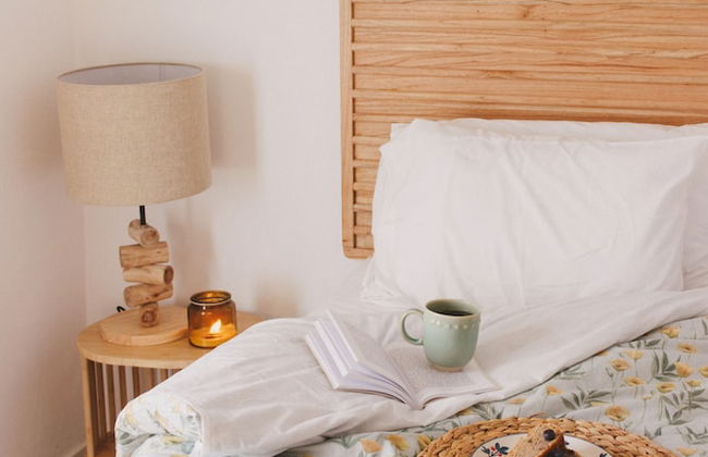 Chão do Ribeirinho, Castelo Branco - Photo 4