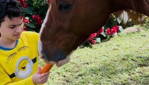 Casa de Serra Guaramiranga - Foto 2