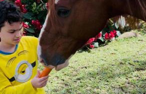 Casa de Serra Guaramiranga - Foto 2