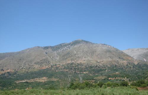 Lale's House - Photo 47