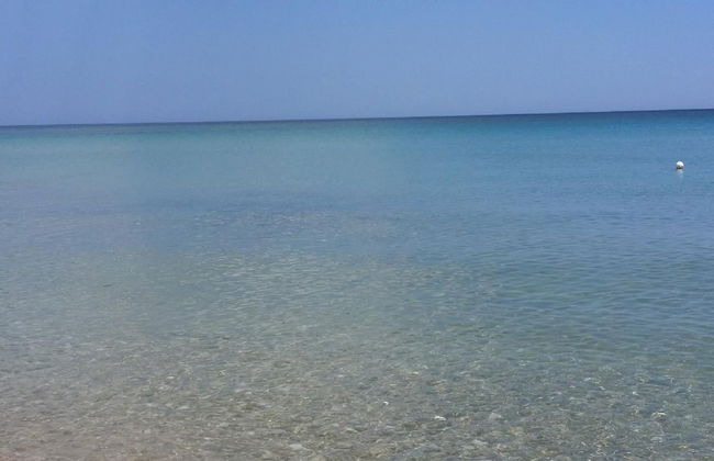 Apartment Eucaliptus sea View - Foto 10