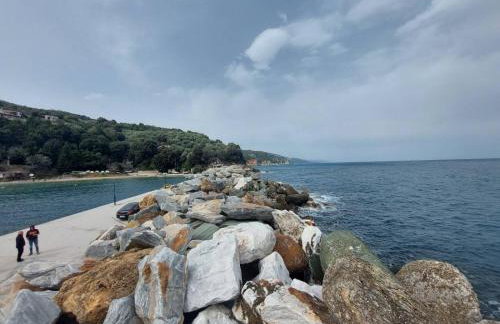 Afrodite Home - Photo 13