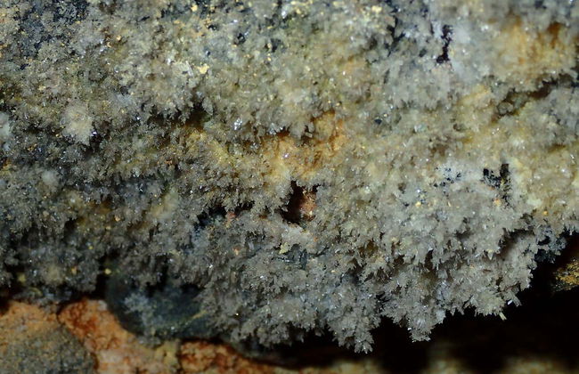 Taxco and Cuernavaca Day Trip - Foto 5