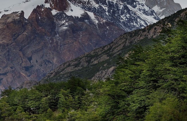 Laguna Condor - Refugio de Montaña - Foto 23