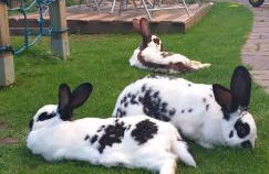 2-Zimmer DG-Apartment mit eigener Sauna - Foto 14