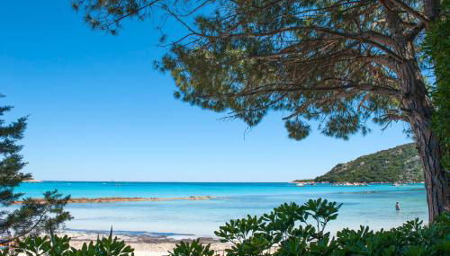 Residence Moby Dick - Foto 2