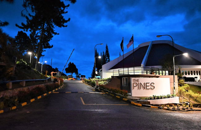 The Pines - Foto 15