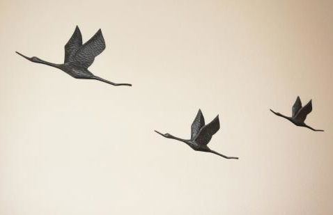 Schlei Idyll - Foto 71